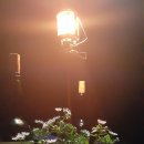 숲속의향기 이미지