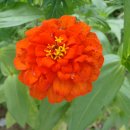 백양리역 이미지