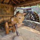 [울산출발] 9월6일(토) 괴산 산막이옛길 힐링트레킹 이미지