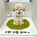 O.D(오복디저트) | 대전 도안동 반려동물케이크 주문제작 [오복디저트] 택배 가능
