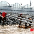 월호농장 이미지