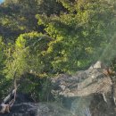 가천면사무소 앞 이미지