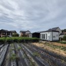 오학약국 이미지