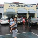 월드오토타운 이미지