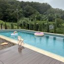 시밀레펜션 이미지