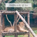 동호책방마을 공원 | 전주동물원 입장료 지도 맛집, 아기 유모차 간식 놀이공원 전주여행 가볼만한곳