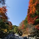 한라산둘레길 천아숲길 이미지