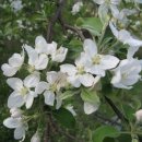 한누리농장 이미지