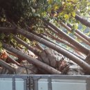 진욱농장 이미지