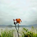 기울기