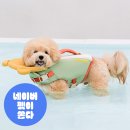 원더풀 - 동작구 성대로 15 | 경기도 강아지 수영장 내돈내산 안성 원더풀도그베이 후기