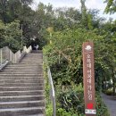 사랑채오리마을 | 전주 오목대 사랑채 한옥마을 노을 명소 추천