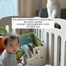 강남대로101길 17 이미지