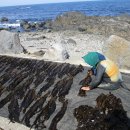 가파초등학교 이미지