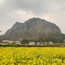 [3월엔 떠날까] 바로 지금, &lt;3월에 떠나기 좋은 곳&gt; TOP 10