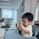 한옥전원 | 은평한옥마을 숙소 사임당 귀한 그대 솔직 후기 시부모님 결혼기념일 기념 한옥스테이