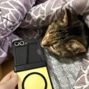 블링PC | 주블링 맥세이프 힌지보호 풀커버 감성폰 Z플립6 Z폴드7케이스 투명