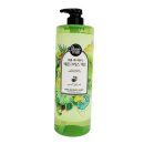 레몬바디케어