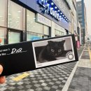 블랙마켓 | 마이피픈 렌즈 구매방법! 다비치마켓 [디크 블랙 그란데] 예약구매후기