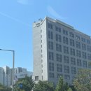 남재경로당 | 위례베이커리카페 라이브러리카페 커도의서재 분위기 좋은 위례 카페 추천 후기