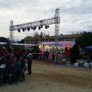 안정초등학교 이미지