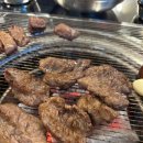 탄천갈매기