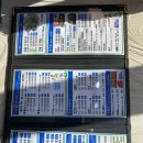 얼빵이물회 | 3화. 부산 해운대 출장을 가다.