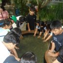 캠프도고 이미지