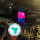 구로-현장-구로-429 | 나만의 2024 콘서트 페스티벌 결산(데이식스, 루시, 악뮤, 하현상)