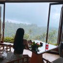 쥬라기풀빌라 | [공지] 발리신혼여행 총정리 우붓 파드마리조트, 몽키포레스트, 더물리아 풀빌라 후기