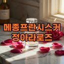 라로즈 | 메종프란시스커정아라로즈 후기 및 계절별 추천