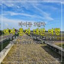 U-BIKE | [여자 혼자 대만 여행]타이중 3일차(칭징저훠궈/미촌점두빙/고미습지&amp;레인보우빌리지 버스투어/펑지아...