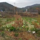 대박농장 이미지