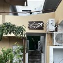 the 개 # | [사이판 가라판 맛집] The angry penne 솔직후기 개빡침(예약 방법)