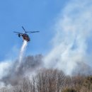 김삿갓면-45 이미지