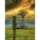 푸르른 농장 이미지