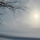 최성훈농장 이미지