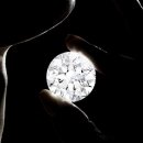 하우스인어스 이미지