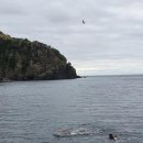 울릉도바닷가 상일펜션 이미지