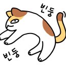 청년피자화성남양점 이미지
