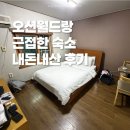 월드모텔 | 홍천 숙소 | 오션월드랑 가까운 가성비 숙소 몰디브모텔