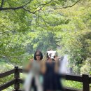 보부상길 (칠량닭집) | 제주_백수S2_20250710_2일차(2)