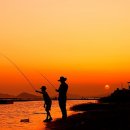 세월낚기 이미지