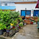 섬지기펜션 이미지