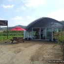 해와달다육 - 구미시 들성로11길 6-65 | 해와달다육