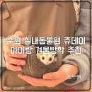 광교쉼터 | 광교 아이랑 가볼만한 곳 실내동물원 쥬데이 추천