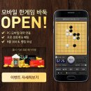 바둑이 PC 이미지