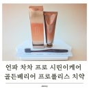 프로폴리스 치약 성분으로 살펴본 언파 차차치약 프로 시린이 케어 솔직 정리