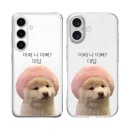 젤리도그 이미지