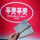 인사동 푸룻푸룻뮤지엄 🍎🍊🍋🍒🥝 실내데이트 추천💕